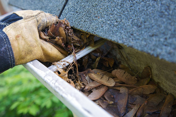 Gutter Cleaning Gutter Cleaning
